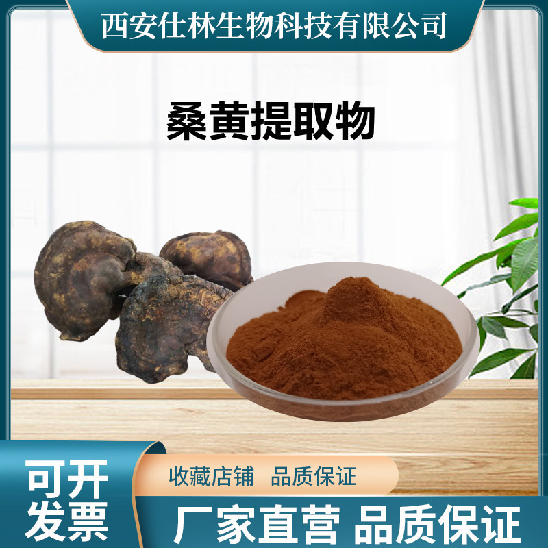 桑黄提取物 10：1 桑黄多糖 桑黄提取物  桑黄粉  药食同源原料