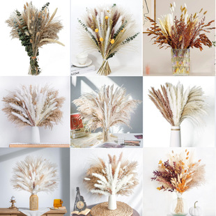 Amazon Cross Border Dried Flower Pampas Bohemian Decorative Reed diy Bunny Mix Dried Flower bouquet