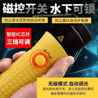Diving Flashlight with Strong Led: UV fənərlər