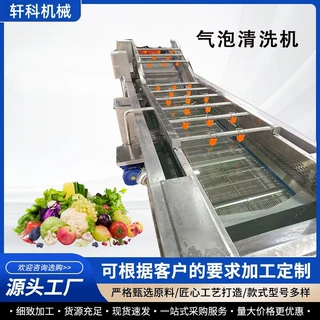 全自动商用气泡清洗机 蔬菜水果清洗设备 去除农残泥沙 厂家直销