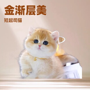 �����������_؈��u��������˾��ż؈���������_���Ɓ���Ŭ�ػ��w