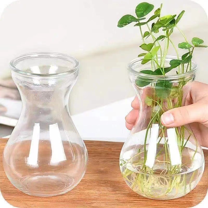 风信子花瓶玻璃瓶水培瓶鲜花玻璃透明花瓶绿萝吊篮器皿玻璃 插花