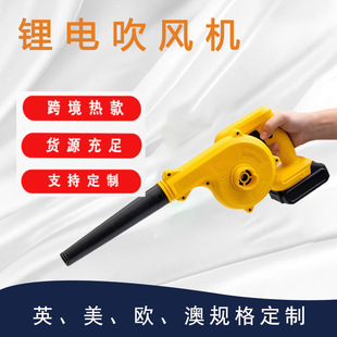 Cross-Border Popular Customized Dw Electric Leaf Blower Snow Blower Electric Hair Dryer High Power Blower