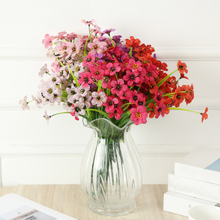 �羳�WʽС÷�������k���҃Ȕ[������zӰ�b߼���ѩ÷���b�