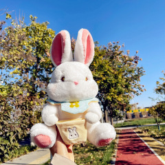新品可愛兔毛絨玩具公仔小兔仙可愛玩偶兒童女生生日禮物批發