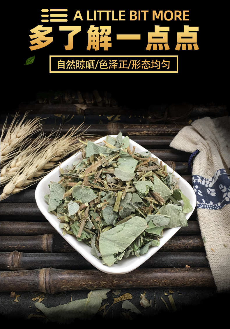 Dried Lysimachia Jin Qian Cao Loose Herb Bulk Large Leaf Gold Coin Grass Traditional Herbal Tea and Decoction Ingredient 500g key features