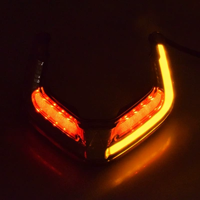 Panigale V4 V2 Street Fighter: Motorcycle tail