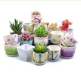 多肉花盆陶瓷带托盘大口径大号发财树盆创意家用多肉的花盆