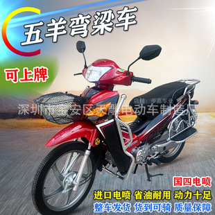 ����늇���������������Ħ��܇����܇ʡ��110CC��������Ůȼ��܇