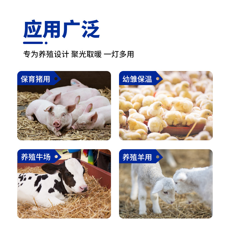 Lámpara de conservación de calor halógena de granja lámpara de calentamiento de cochinillo de pato de pollo ahorro de energía a prueba de agua temperatura ajustable lámpara de conservación de calor de calefacción de cría