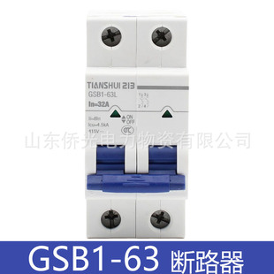 ��ˮ��һ�� GSB1-63LMH C6A10A32A50A63A�՚��_�PС�͔�·��