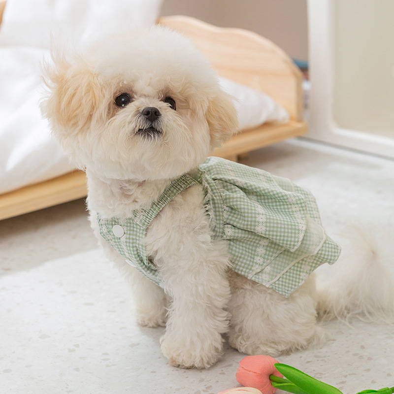 Primavera y verano perro princesa estilo Daisy Plaid falda de encaje Liga pies gato vestido ropa para mascotas