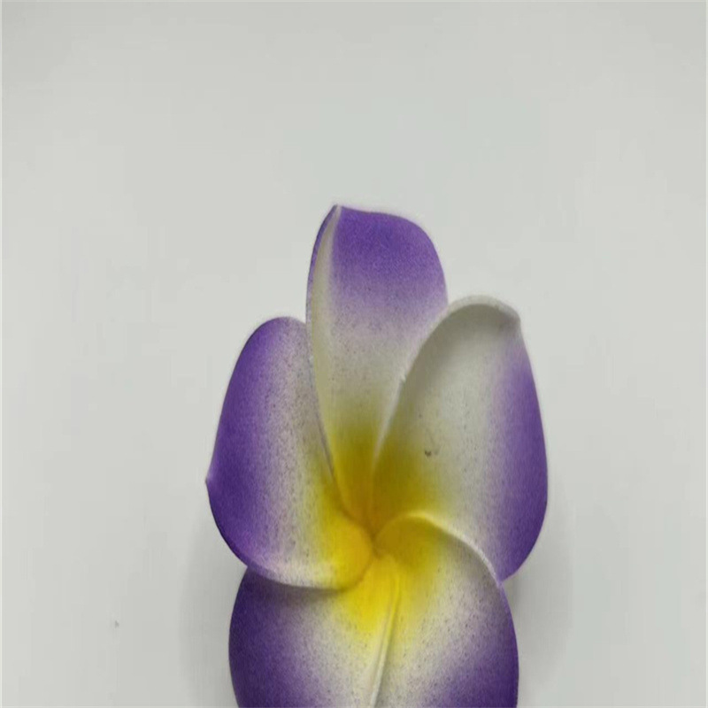 5cm 보라색