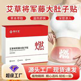 将军藤大肚贴草本蒸汽艾灸贴腰腹贴自发热暖宝宝艾草贴宫暖贴热敷