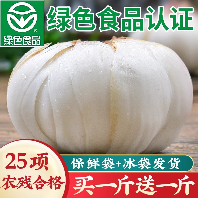 甘肃兰州百合新挖新鲜百合500g新鲜食用生甜白合非干货产级包邮