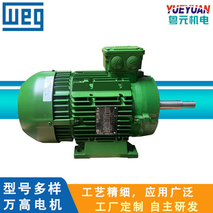 WEG늙C/�f��W21�ǘ˼��L�S �������� 0.55~315KW B3/B5