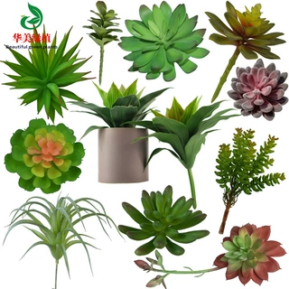 仿真多肉植物 超大小号多肉盆景绿植塑胶花盆栽微景观配材植物墙