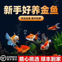 ���~���~���Ӝ���ˮ�~�^�p�~��ˮ�~���w�ݽ��~��С���~���B�����~