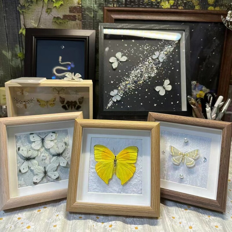 Factory Wholesale Retro Hollow Stereo Butterfly Specimen Atmospheric Table Hanging Wall Mounting DIY Frame