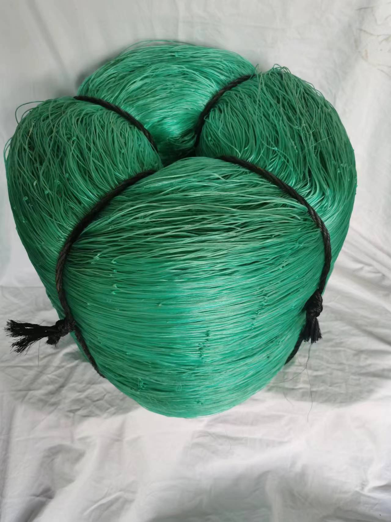 微信图片_20230619114937