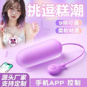 Vibrador de huevo vibrante Laile varilla AV varilla vaso pequeño concha delfín pequeño dispositivo famoso dispositivo de masturbación sexual productos sexuales para adultos