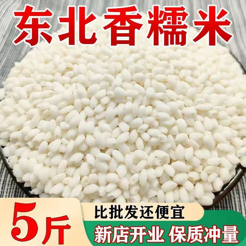 23 東北もち米 季節の新米 東北丸もち米 5kg 新鮮な高品質の香りの良い白もち米 もち米団子|undefined