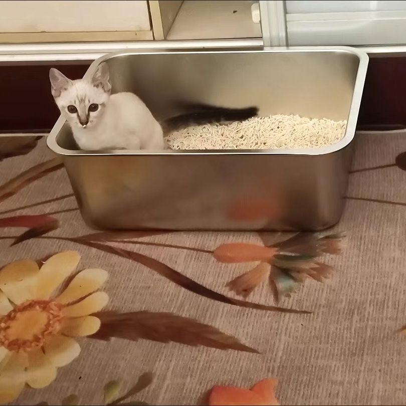 초대형 스테인레스 스틸 개방형 거대한 안티 스플래시 고양이 쓰레기 상자 고양이 Ragdoll 메인 컵 대형 고양이 화장실 공장