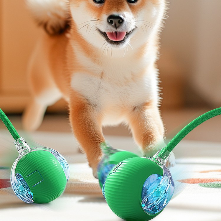 개 장난감, 자동 개 산책 공, 강아지 애완 동물 자기 오락, 물림 방지 전기 스마트 개 점핑 공 유물