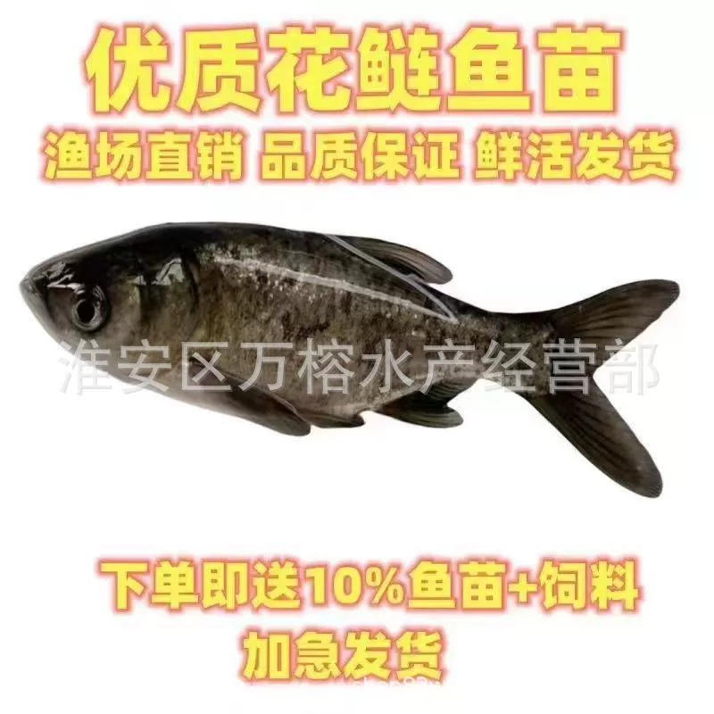 Аквакультурная фабрика поставляет щуку, карпа, цветочного карпа и жирнохвостого карпа.