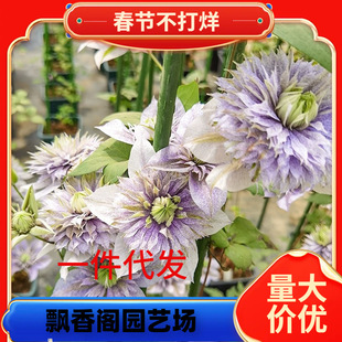 ˮ�������F��ɏ�������ٻ���ֲ��ˮ�����ذ��F��ɏ�S���͟��ļ��_