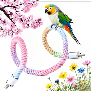 �S��ֱ�N�W�^�������K�B��� U�͌�������Bվ�U�B���B�\���K