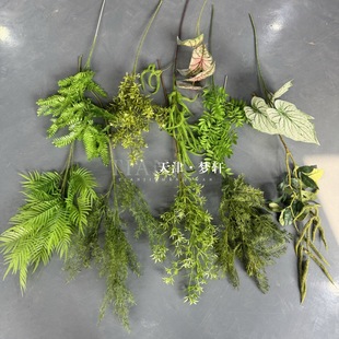 �nʽɭϵ�ϾGɫ�Gֲ����С������Ȼ�Lɭϵ���滨 �����쾰