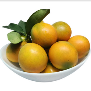 �V�����ִ�Ƥ��ۮa��ֱ�l��۰��]���rˮ����Ƥ���һ�����l