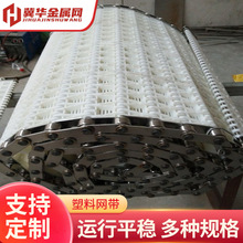 非标供应塑料网带PVC链板果蔬清洗尼龙输送带洗碗机耐高温