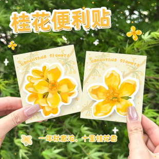 ins�ɐۮ��ι𻨱����N�W����˺���Ա㺞�N���ֵ����N���N�ľ�