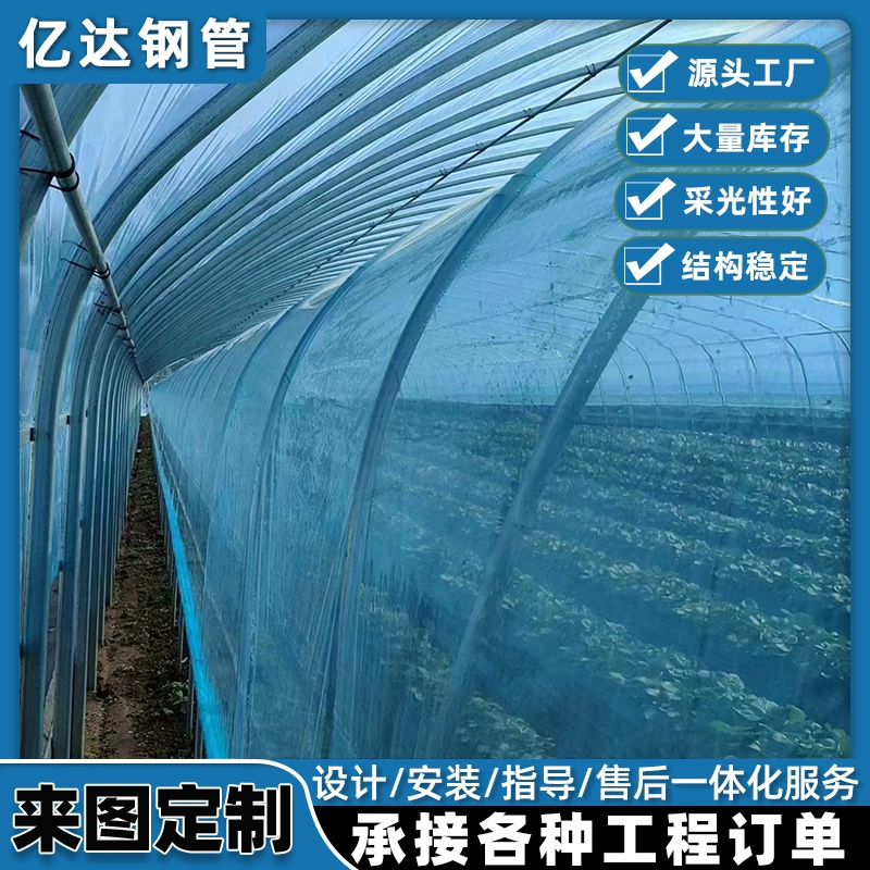 Простая сиамская теплица, плечевая и плечевая пленка, полный набор из оцинкованной стальной трубы горячего дип, одиночная виноградная тепличная конструкция