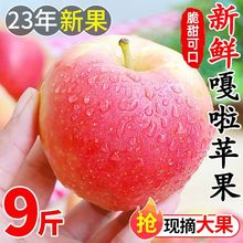 富士苹果2023头茬应当季水果青陕西红富士脆甜冰糖丑平果整箱3斤