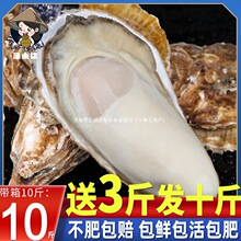 ��ɽ����r���ش�ĵϠ�������Ժ�Ϡ�����r���rˮ�a����10����S