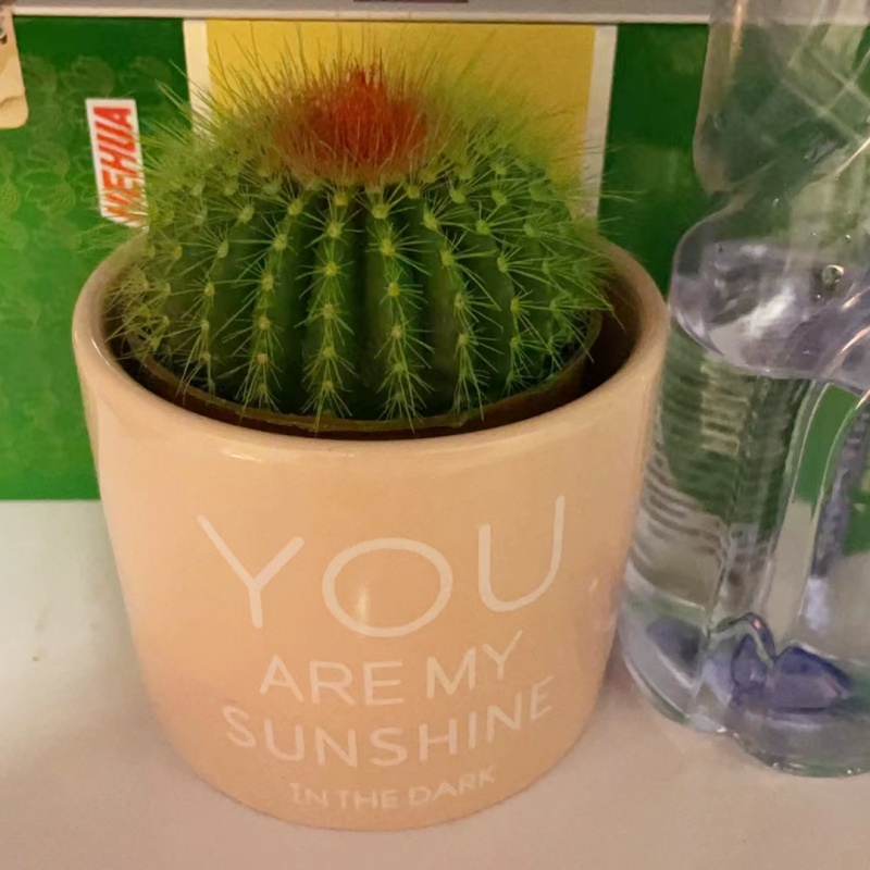 골든크라운(최신 핫상품 YOU 세라믹 세면기) 색상은 그린으로 표기 가능