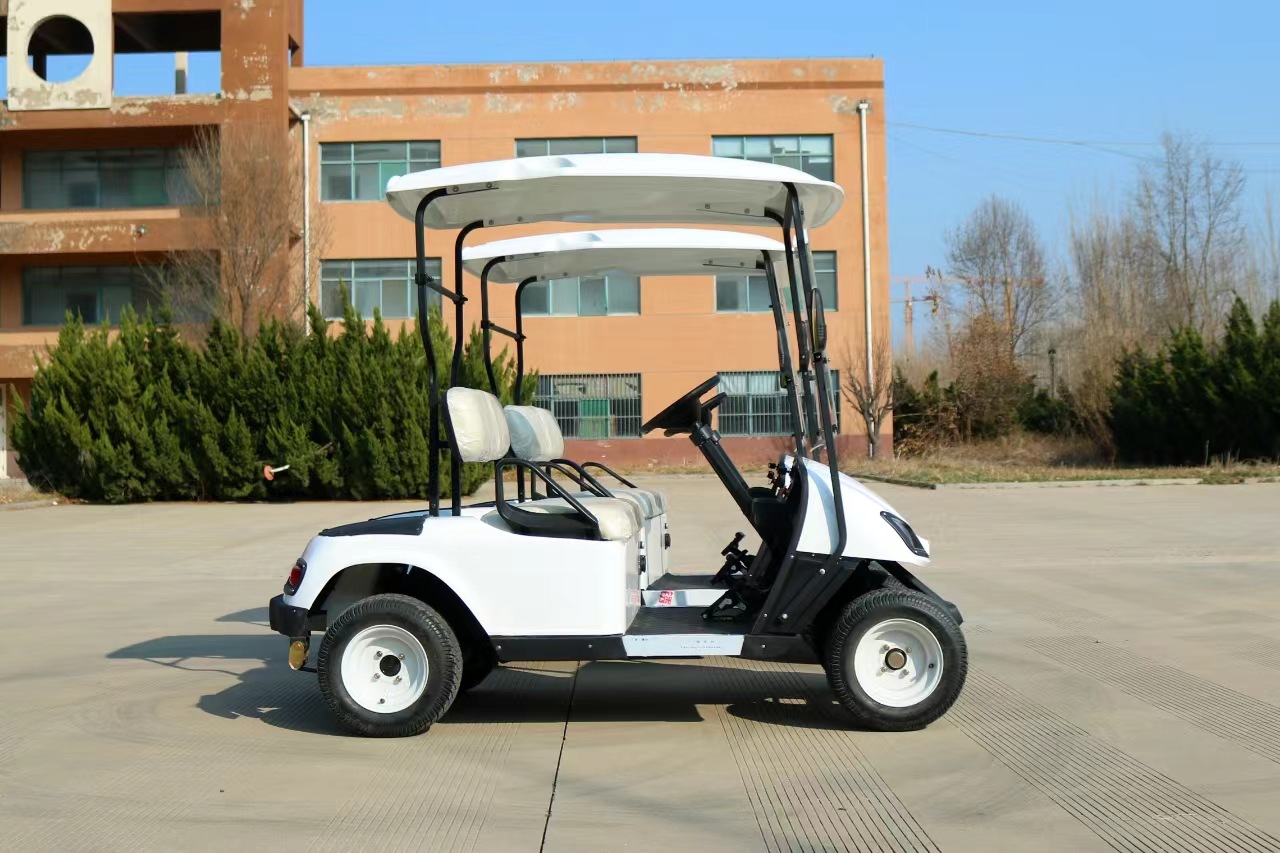 XT Xiangtu Travel Scenic Area Smart Scan Code Transport Vehicle Manufacturer 2-seater Golf Cart