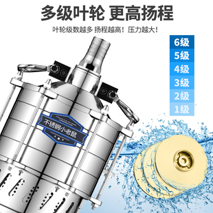 Llqd Multi-Stage Submersible Pump Single-Phase Household High-Lift Stainless Steel High-Pressure Large-Flow Farmland Irrigation Pumping
