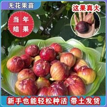 �o������������ˮ�����ļ��ش󲨼��t�ϱ����̨�Nֲ���Ԯ���Y��