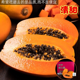 �a�D�����Đ� ���x���������캣���rʳ�t��ţ��ľ��8�����r�Y���b