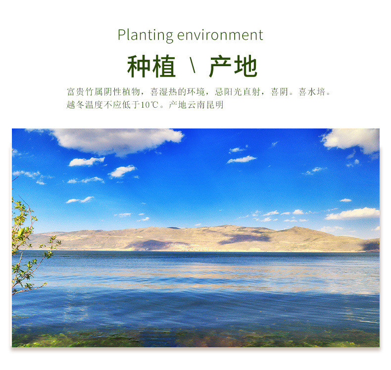 c760c8cb-eee6-451a-91a3-e6383db27c08.jpe