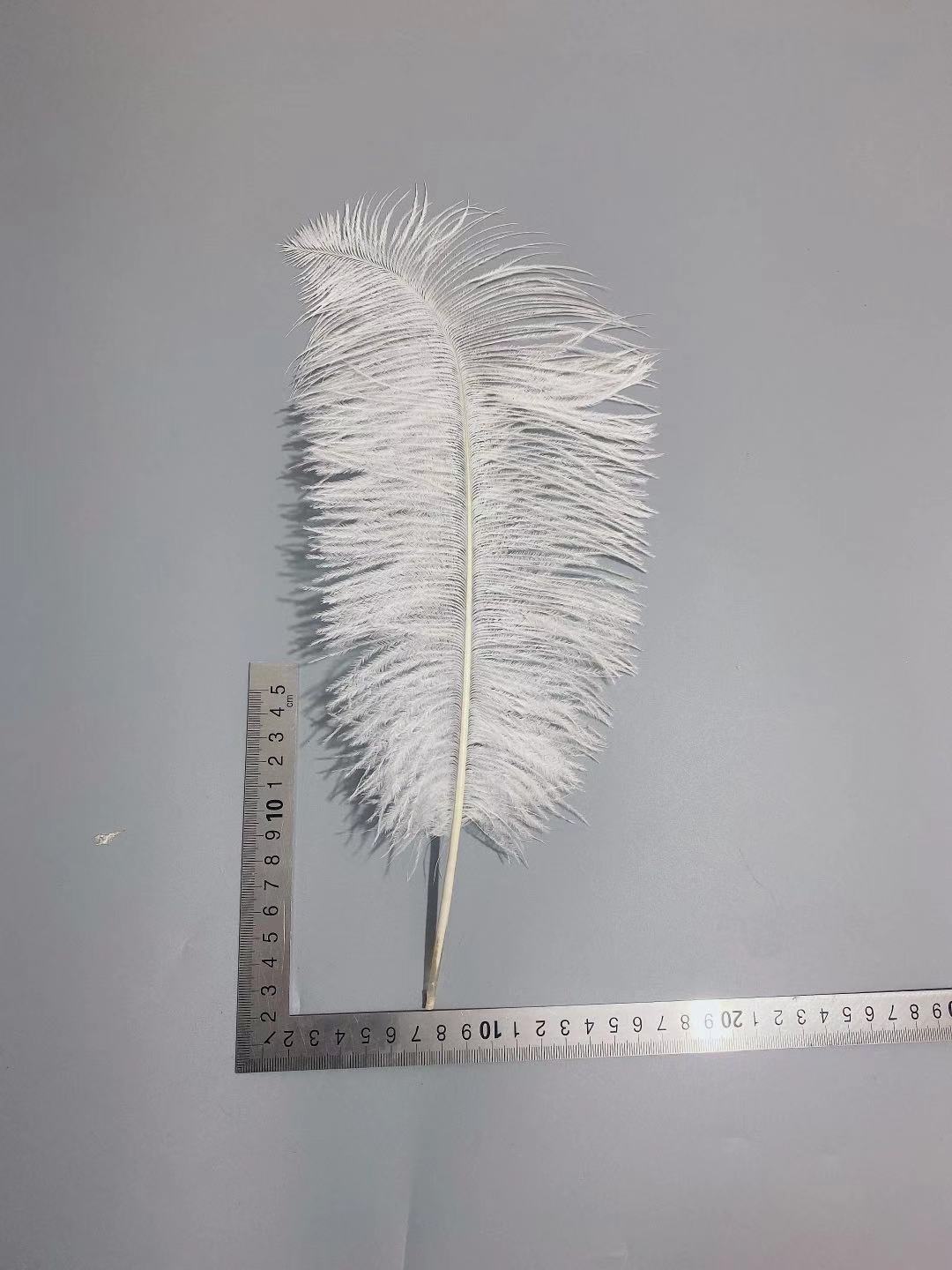 26646d8be8831af5e47010aa030b4d