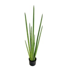 ����������������β���߲������L��ݟᎧɳĮֲ���쾰����ٲ�