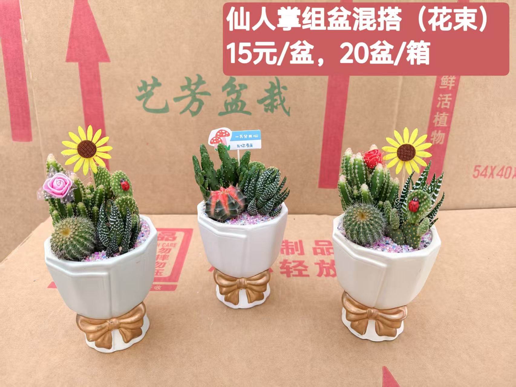 Cactus combinación de vidrio cerámico base de guangzhou venta directa factura boleto especial soporte de cotización de tres partes fábrica directa