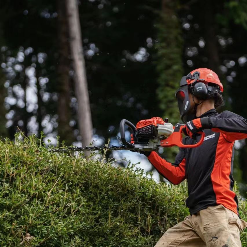 微信图片_20240410144554