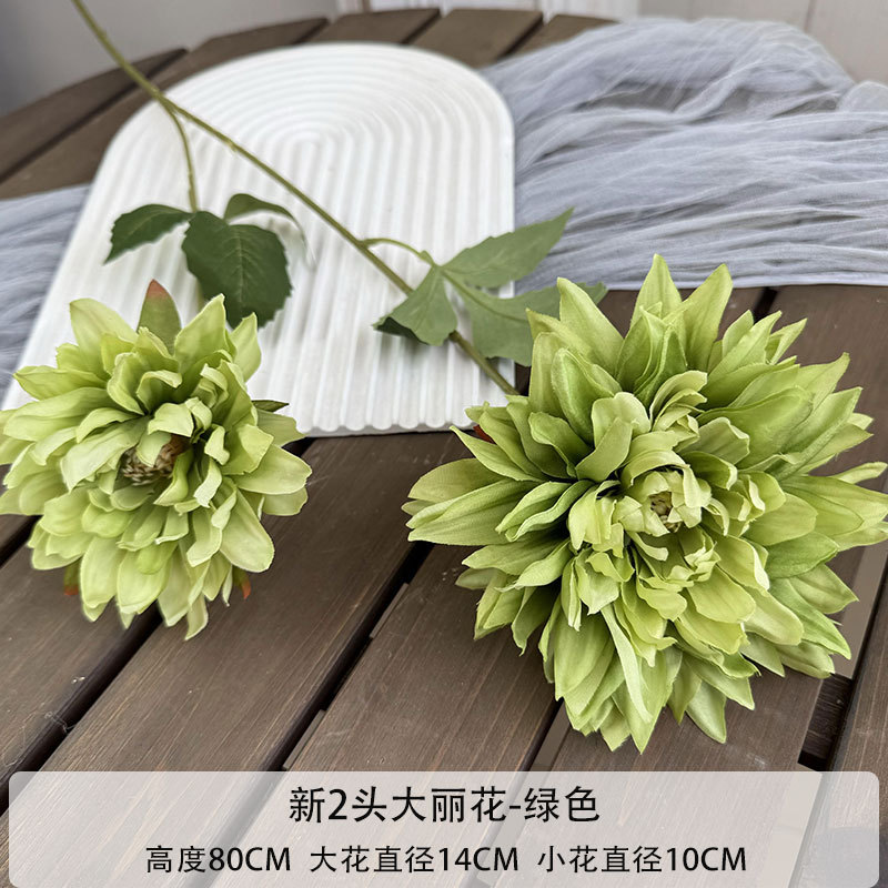 새로운 2 달리 화
