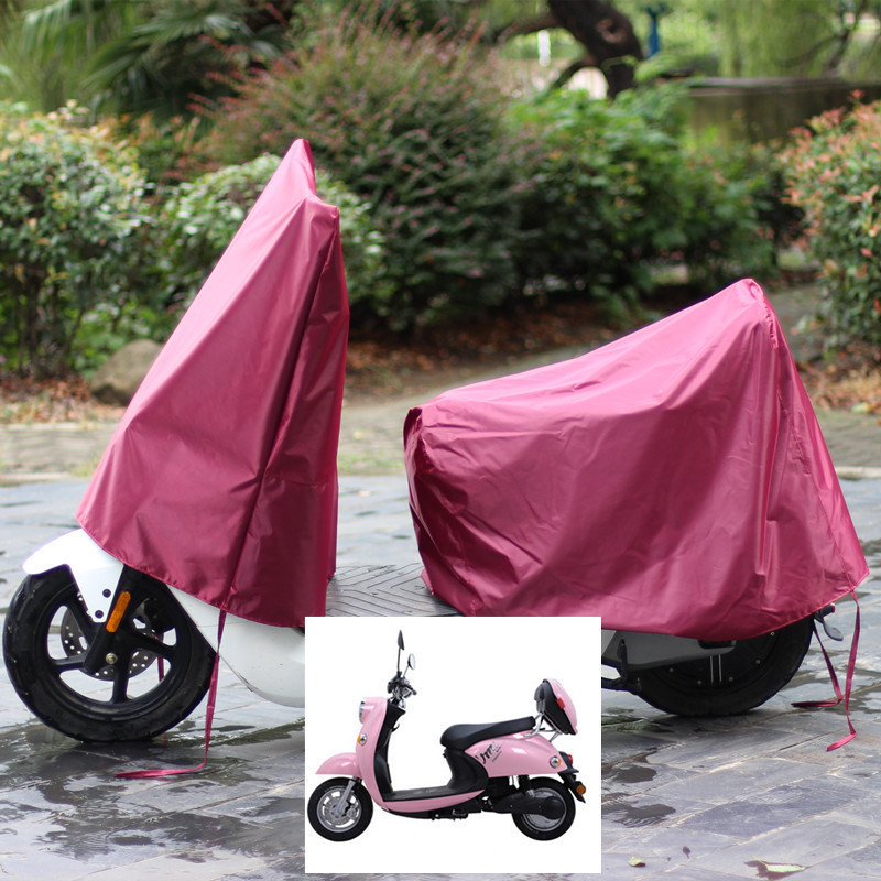 마룬 헤드 + L 사이즈 테일